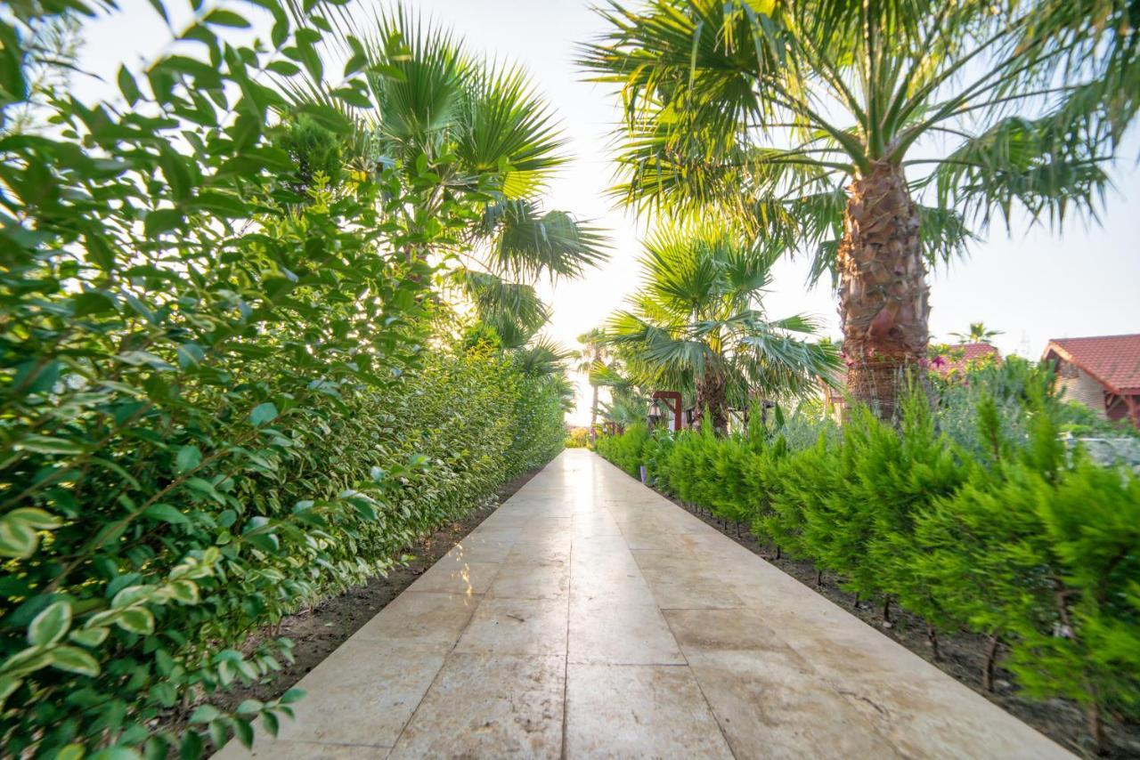 Nerissa Hotel Çıralı Exterior foto